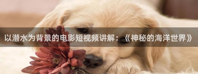 奇优影院电视剧免费观看：以潜水为背景的电影短视频讲解：《神秘的海洋世界》