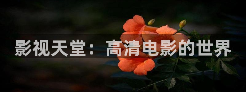 奇优影院手机版电视剧在线观看：影视天堂：高清电影的世界