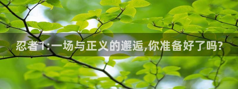 奇优影院免费：忍者1:一场与正义的邂逅,你准备好了吗?