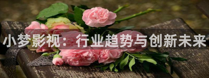 奇优影院免费最新电视剧：小梦影视：行业趋势与创新未来