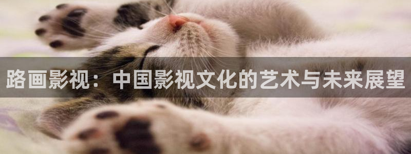 海贼王奇优影院手机版：路画影视：中国影视文化的艺术与未来展望