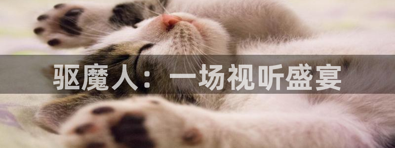 奇优影院观看网址免费：驱魔人：一场视听盛宴