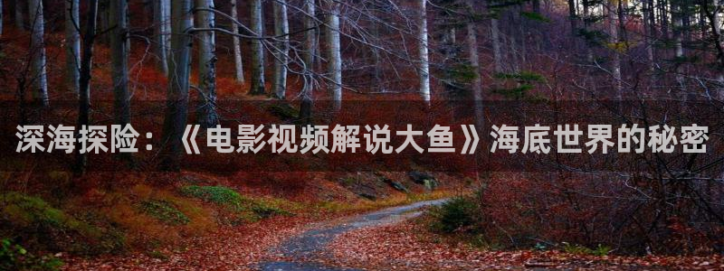 奇优影院手机版_免费高清电影在线：深海探险：《电影视频解说大鱼》海底世界的秘密