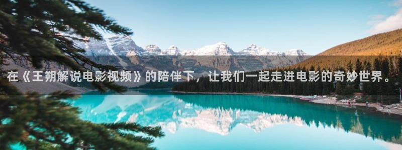 奇优影院免费：在《王朔解说电影视频》的陪伴下，让我们一起走进电影的奇妙世界。
