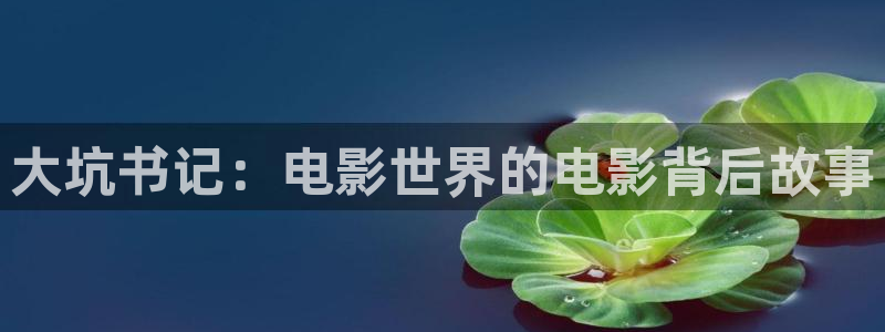 奇优影视手机版在线观看免费：大坑书记：电影世界的电影背后故事