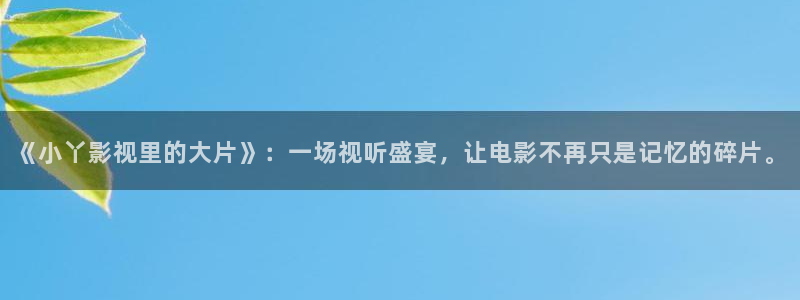 奇优影院手机版免费高清在线观看：《小丫影视里的大片》：一场视听盛宴，让电影不再只是记忆的碎片。