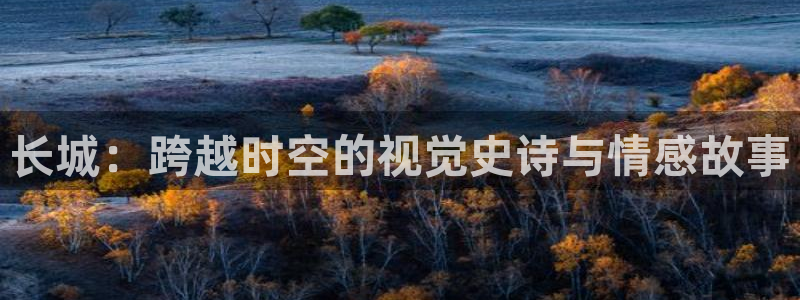 奇优影视6080免费观看电视剧