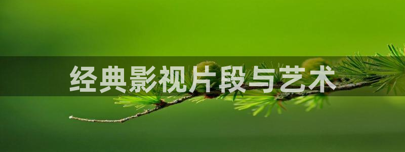 奇优影院手机影视