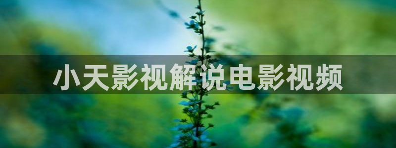 奇优影视在线观看免费播放电视剧