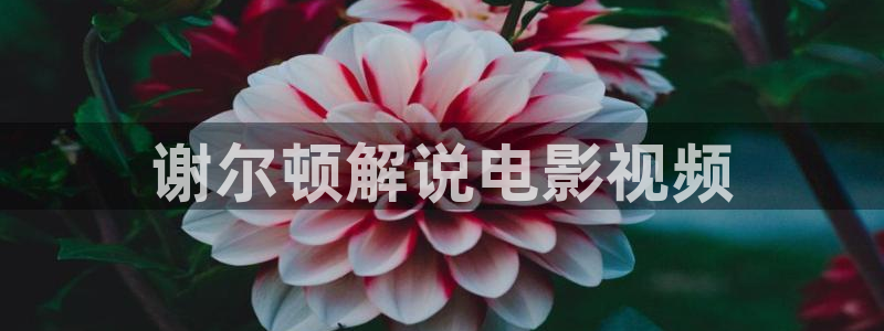 奇优影院手机版在线观看电视剧网站下载
