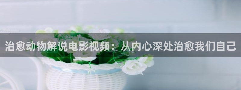 奇优影院狂飙