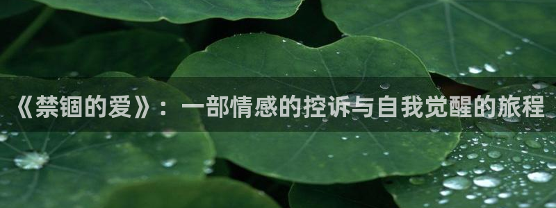 李采潭奇优影院
