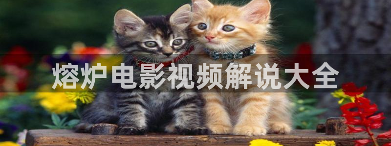 奇优影院大全