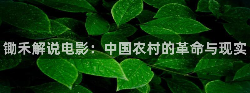 手机奇优影院