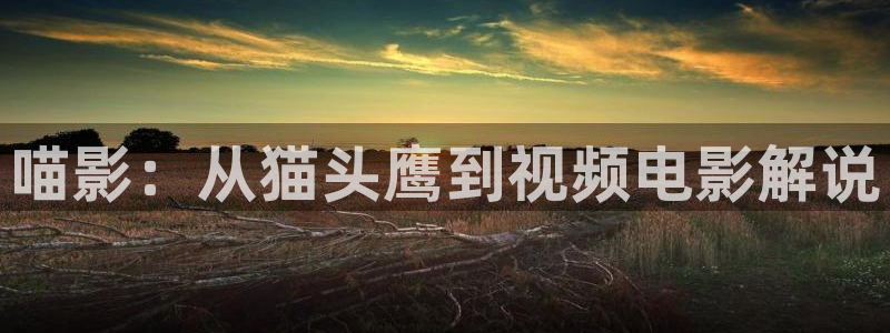 奇优影视大全手机版