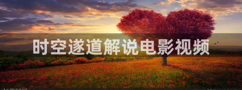 奇优影院在线观看视频：时空遂道解说电影视频