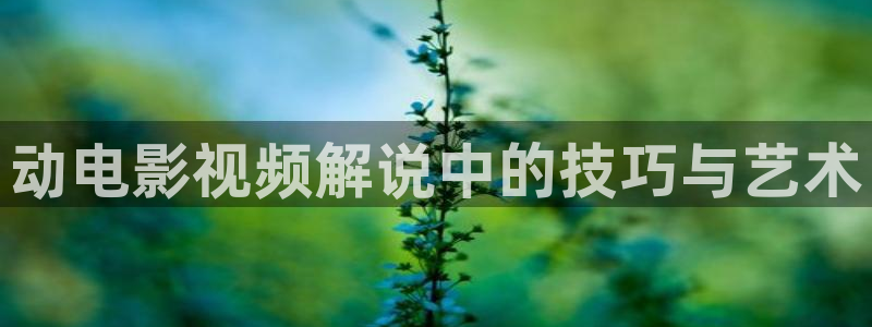 电视剧免费全集观看奇优影院：动电影视频解说中的技巧与艺术