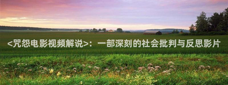 奇优影院官网地址：<咒怨电影视频解说>：一部深刻的社会批判与反思影片