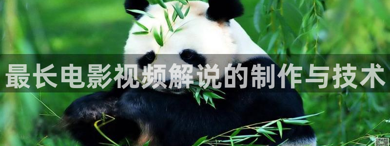 奇优影视手机版免费观看电视剧下载：最长电影视频解说的制作与技术
