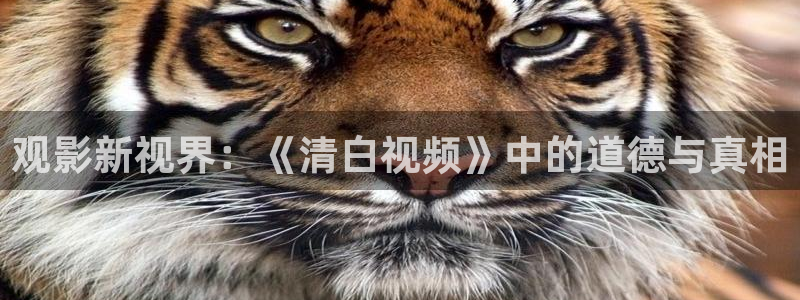 聚会的目的奇优影院：观影新视界：《清白视频》中的道德与真相