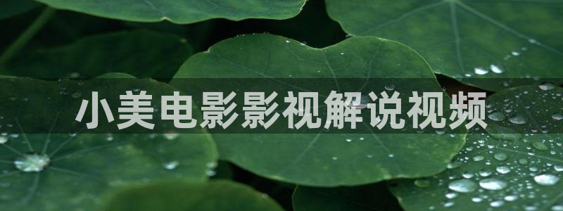 奇优影院网页版：小美电影影视解说视频