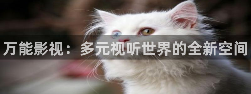 妈妈的朋友5奇优影院