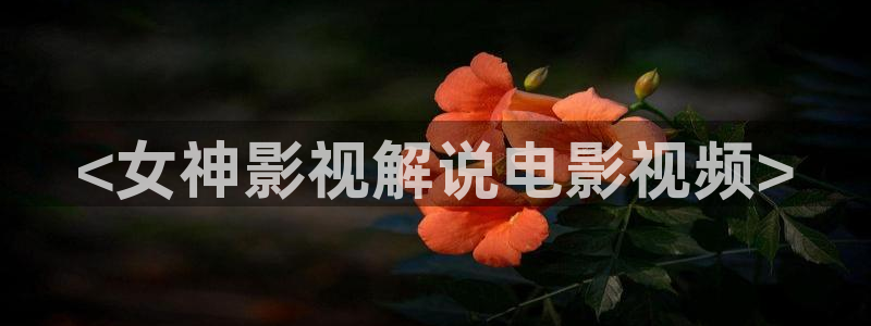 奇优影院高清电视剧