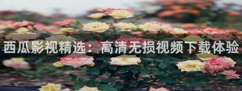 奇优影院手机版高清电视免费