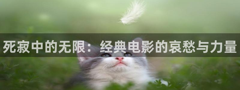 奇优影院手机免费高清影院电视剧