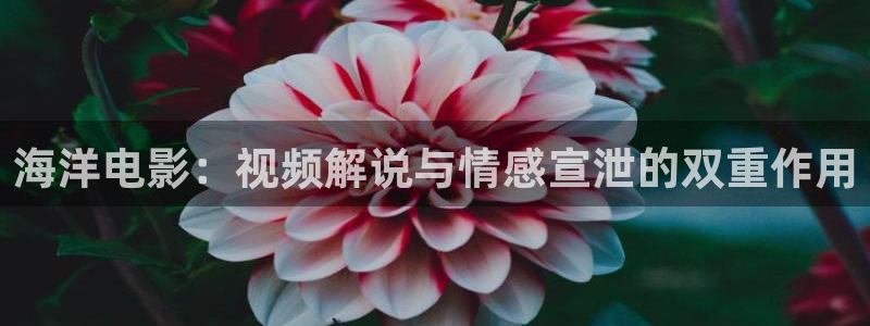 奇优影院电视剧高清免费观看