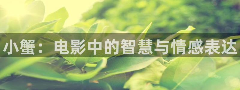 奇优影院手机版电视剧