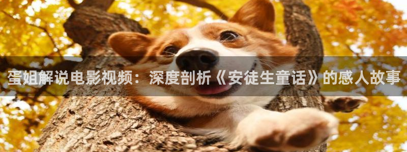 奇优影院 电视剧 电影