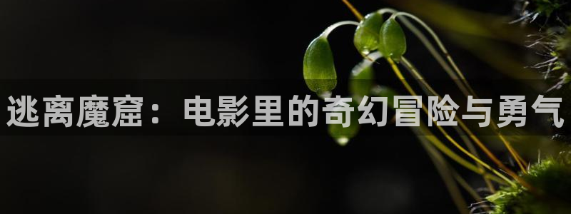 奇优影院电视剧在线高清免费观看