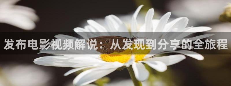 奇优影视手机版免费高清电视剧